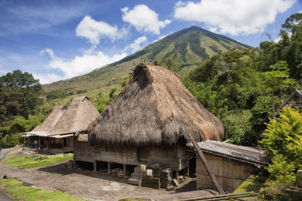 Flores Island Introduction