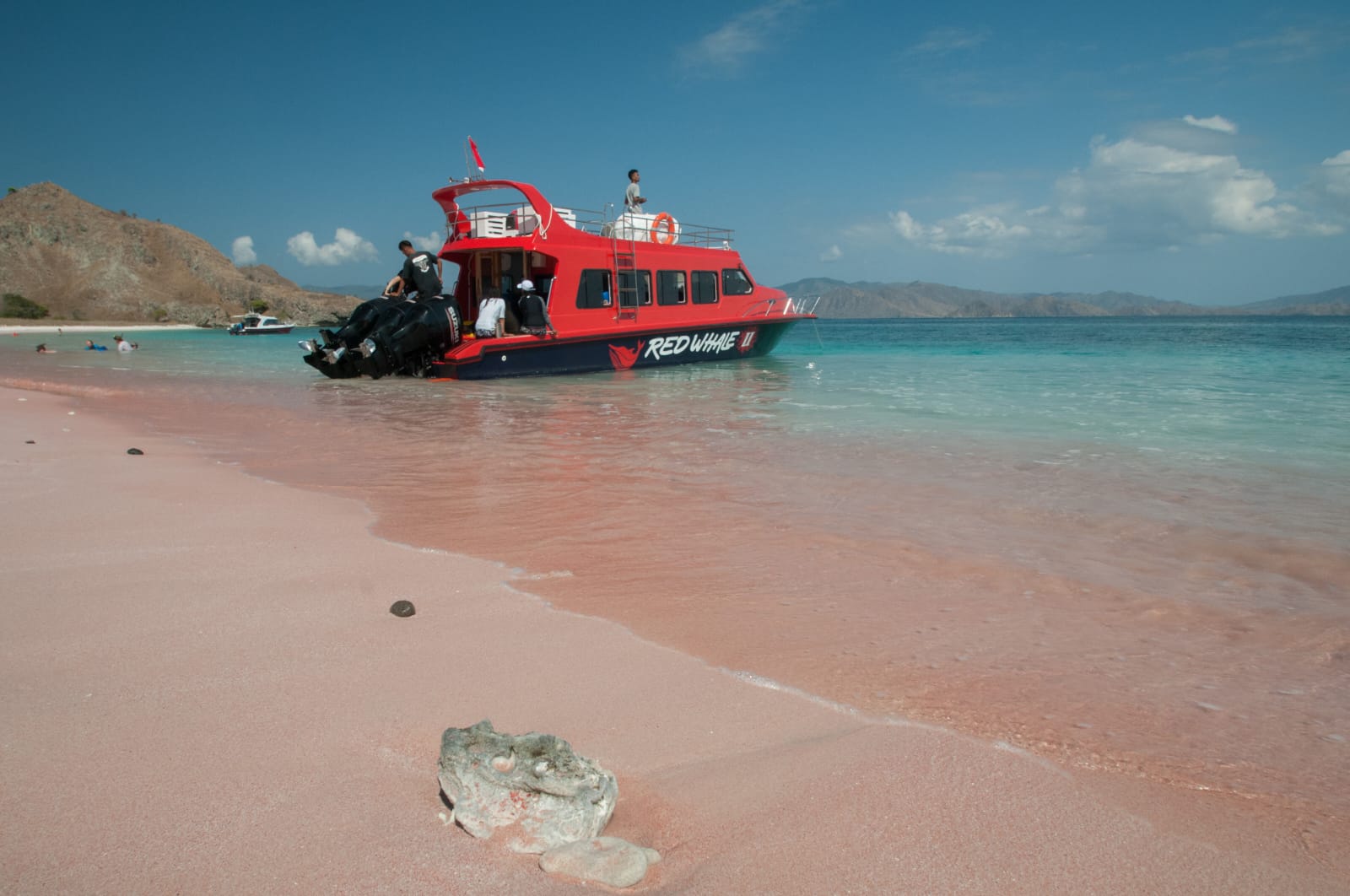 Komodo Day Tour