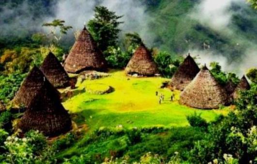 Komodo - Flores Island Tours 9D8N
